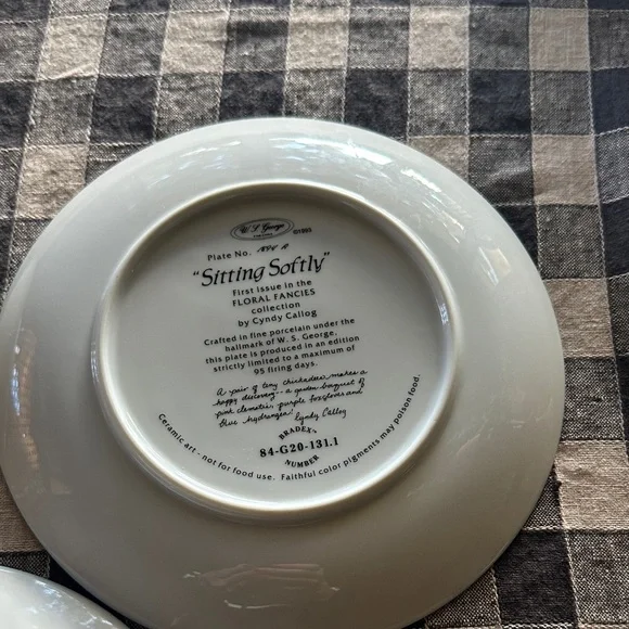 W.S George Fine China Plates by Cyndy Callog . Floral Fancies Collection - Picture 3 of 7